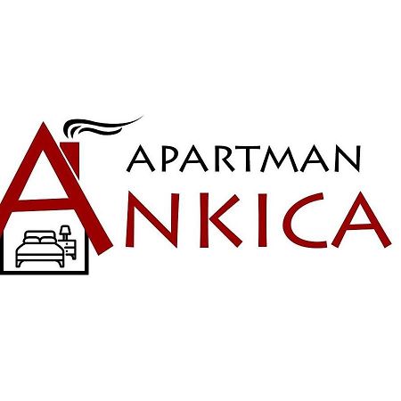 Apartman Ankica Golubac Zewnętrze zdjęcie