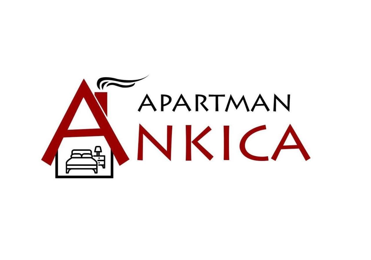 Apartman Ankica Golubac Zewnętrze zdjęcie