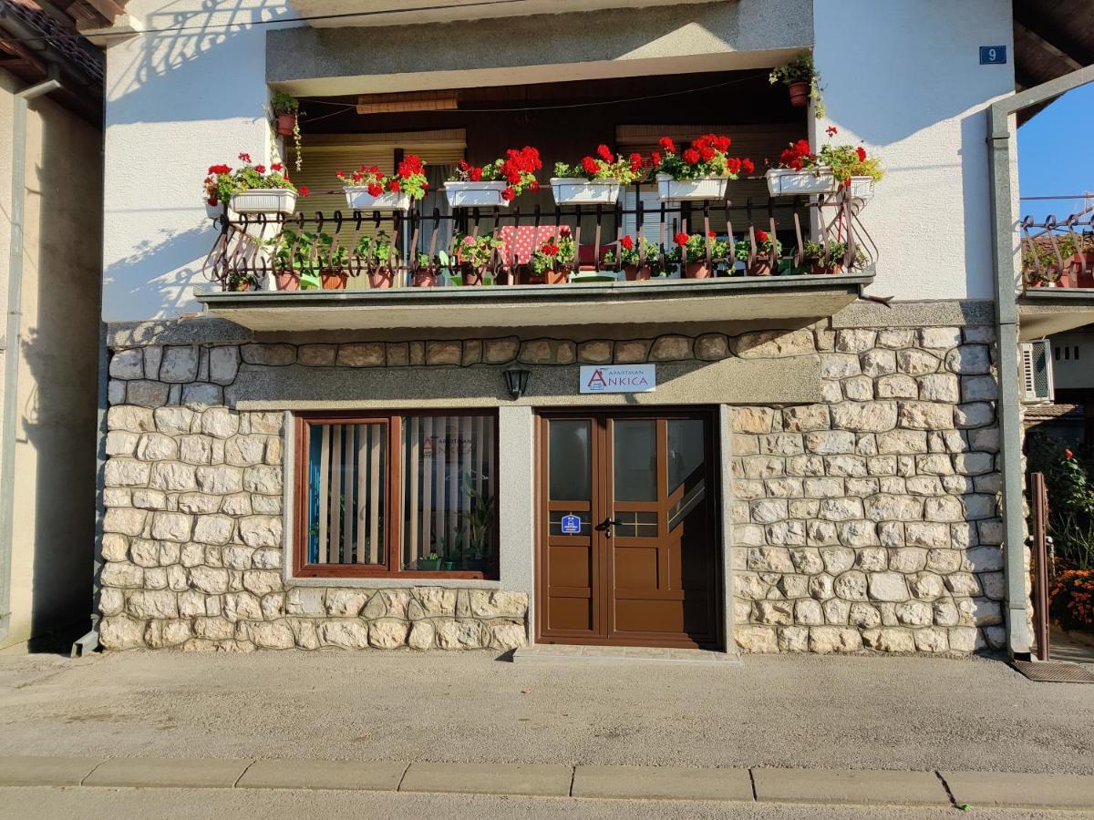 Apartman Ankica Golubac Zewnętrze zdjęcie